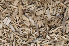 biomass boilers Sapiston